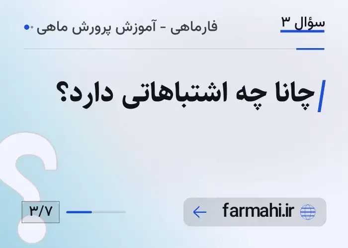 چانا چه اشتباهاتی دارد؟