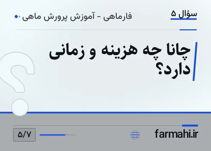 چانا چه هزینه و زمانی دارد؟