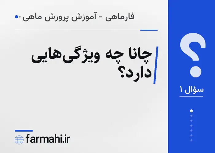 چانا چه ویژگی‌هایی دارد؟