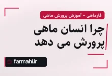 چرا انسان ماهی پرورش می دهد