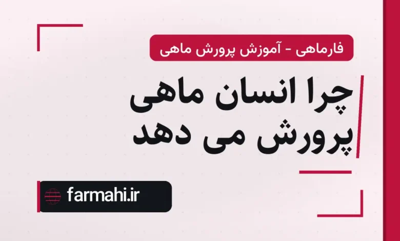 چرا انسان ماهی پرورش می دهد