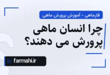 چرا انسان ماهی پرورش می دهند؟