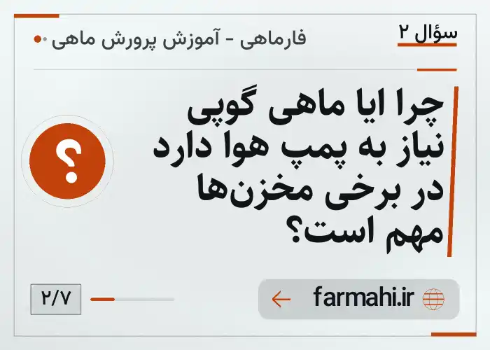 چرا ایا ماهی گوپی نیاز به پمپ هوا دارد در برخی مخزن‌ها مهم است؟