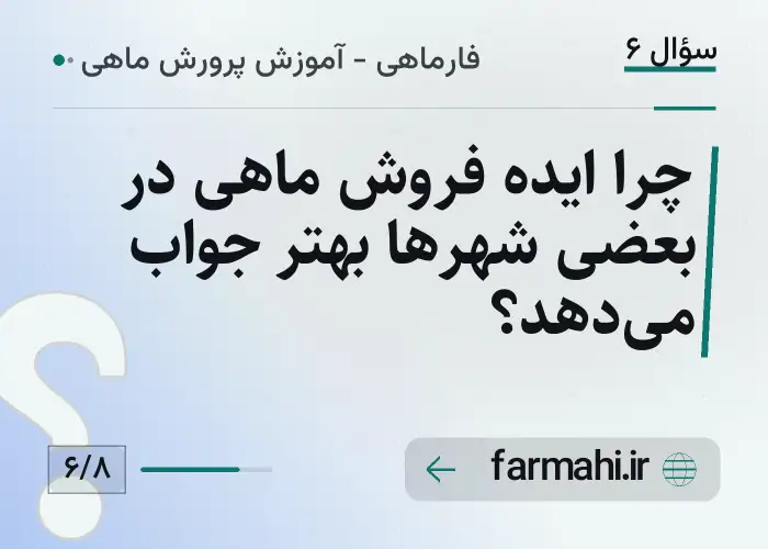 چرا ایده فروش ماهی در بعضی شهرها بهتر جواب می‌دهد؟