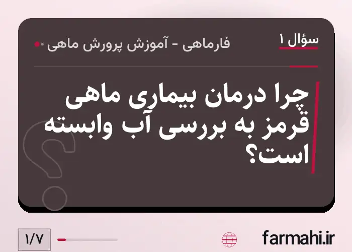 چرا درمان بیماری ماهی قرمز به بررسی آب وابسته است؟