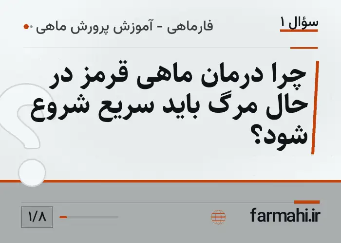 چرا درمان ماهی قرمز در حال مرگ باید سریع شروع شود؟