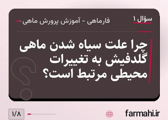 چرا علت سیاه شدن ماهی گلدفیش به تغییرات محیطی مرتبط است؟