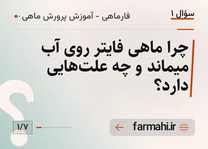 چرا ماهی فایتر روی آب میماند و چه علت‌هایی دارد؟