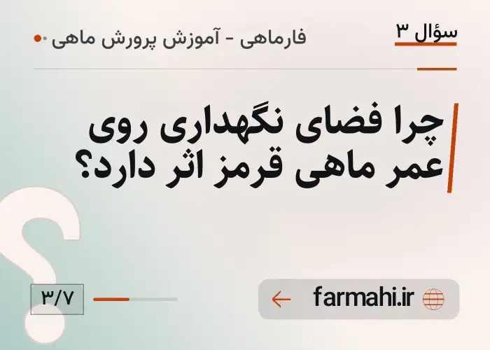 چرا فضای نگهداری روی عمر ماهی قرمز اثر دارد؟