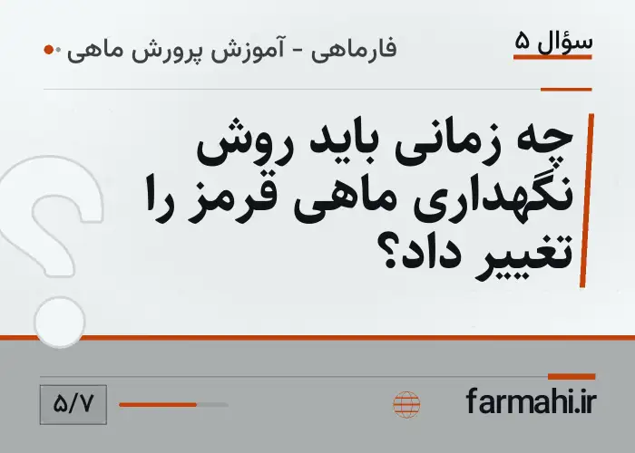 چه زمانی باید روش نگهداری ماهی قرمز را تغییر داد؟