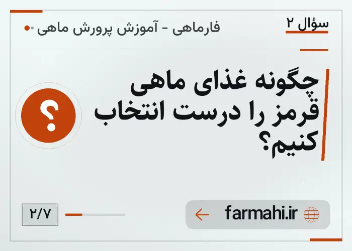 چگونه غذای ماهی قرمز را درست انتخاب کنیم؟