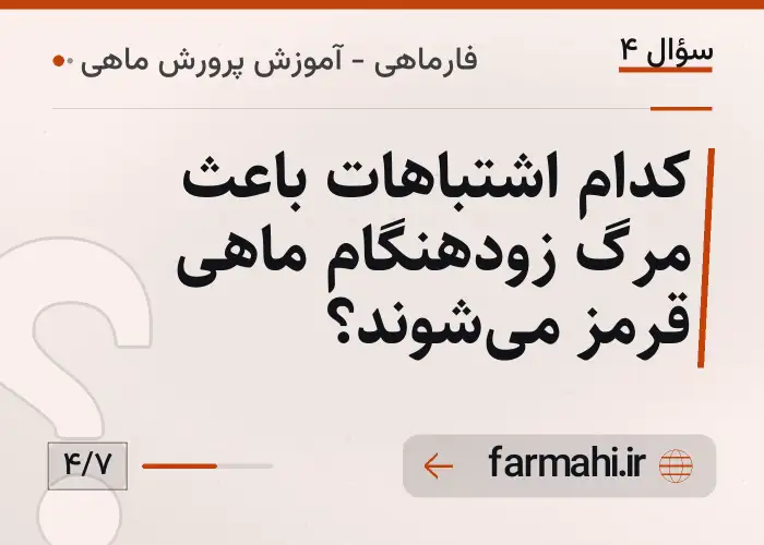 کدام اشتباهات باعث مرگ زودهنگام ماهی قرمز می‌شوند؟