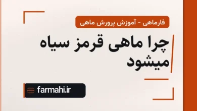 چرا ماهی قرمز سیاه میشود