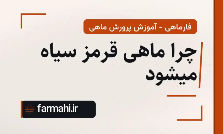 چرا ماهی قرمز سیاه میشود