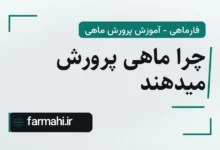 چرا ماهی پرورش میدهند
