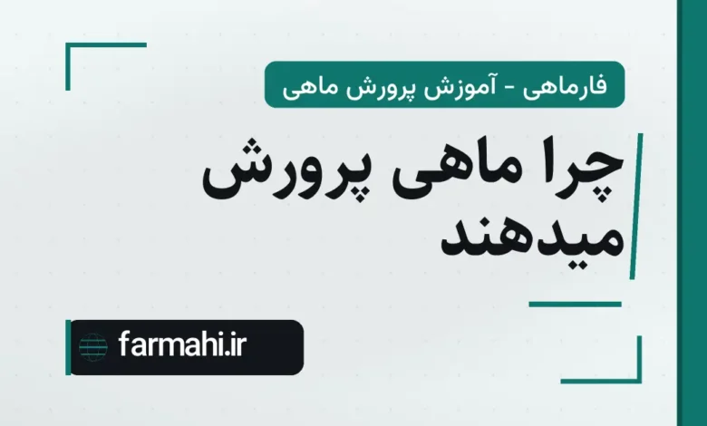 چرا ماهی پرورش میدهند