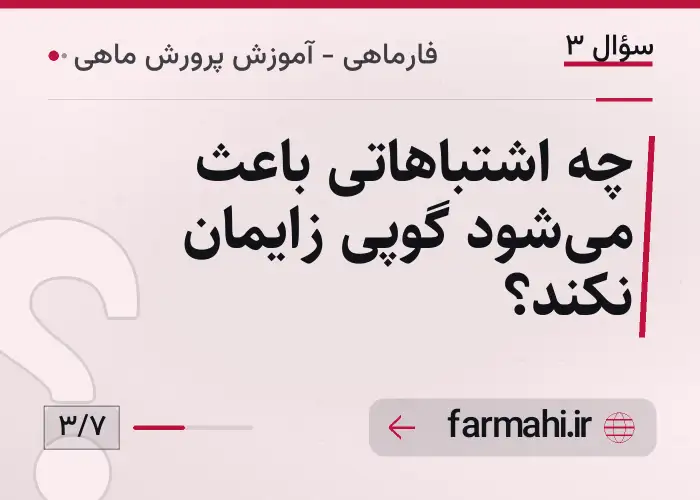 چه اشتباهاتی باعث می‌شود گوپی زایمان نکند؟