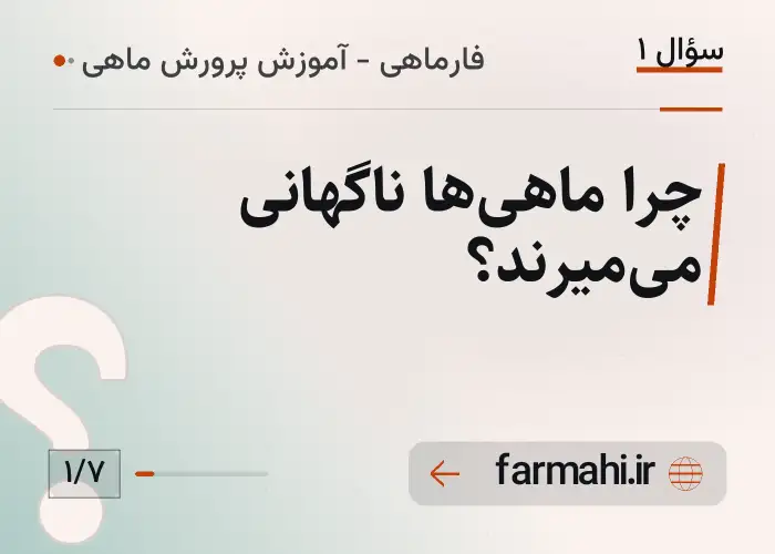 چرا ماهی‌ها ناگهانی می‌میرند؟
