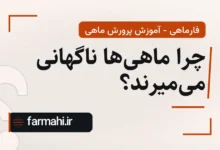 چرا ماهی‌ها ناگهانی می‌میرند؟