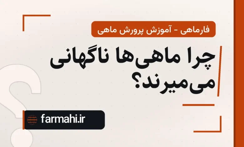 چرا ماهی‌ها ناگهانی می‌میرند؟