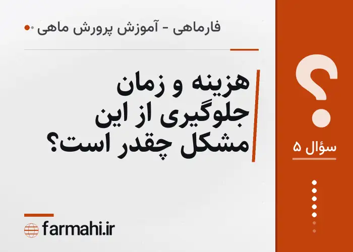 هزینه و زمان جلوگیری از این مشکل چقدر است؟
