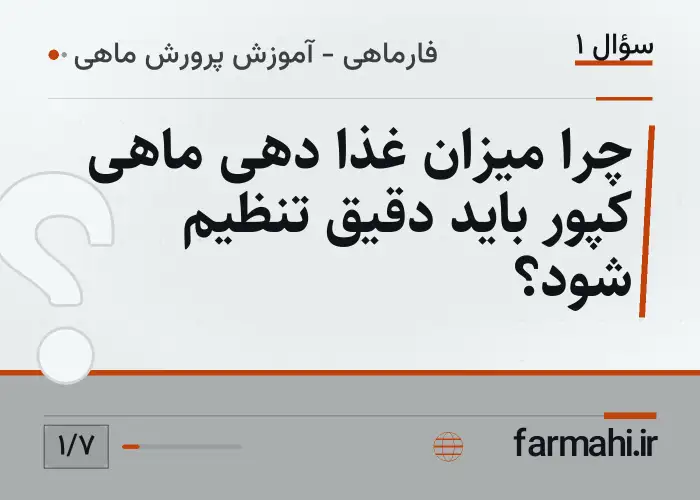 چرا میزان غذا دهی ماهی کپور باید دقیق تنظیم شود؟