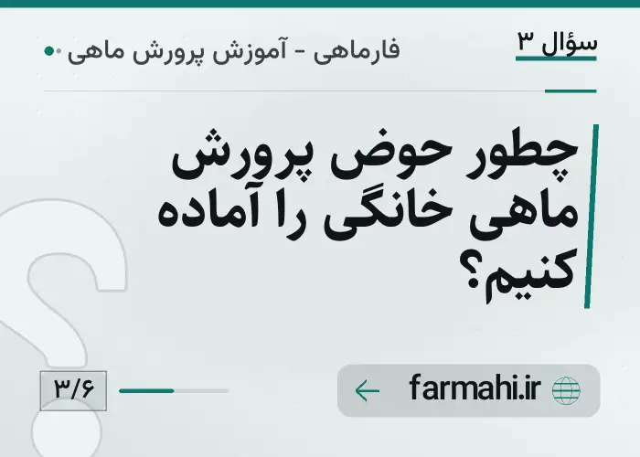 چطور حوض پرورش ماهی خانگی را آماده کنیم؟