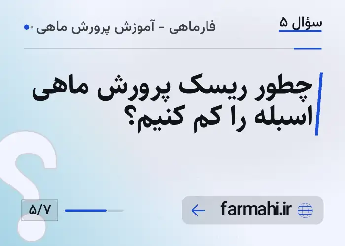 چطور ریسک پرورش ماهی اسبله را کم کنیم؟