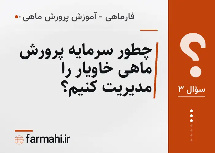 چطور سرمایه پرورش ماهی خاویار را مدیریت کنیم؟