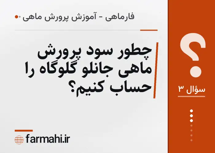 چطور سود پرورش ماهی جانلو گلوگاه را حساب کنیم؟