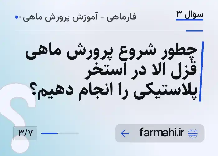 چطور شروع پرورش ماهی قزل الا در استخر پلاستیکی را انجام دهیم؟
