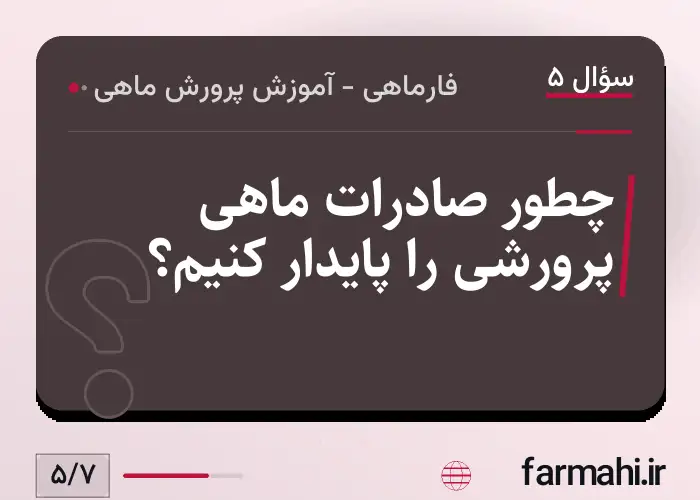 چطور صادرات ماهی پرورشی را پایدار کنیم؟