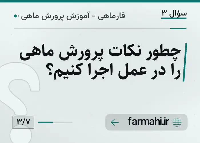 چطور نکات پرورش ماهی را در عمل اجرا کنیم؟