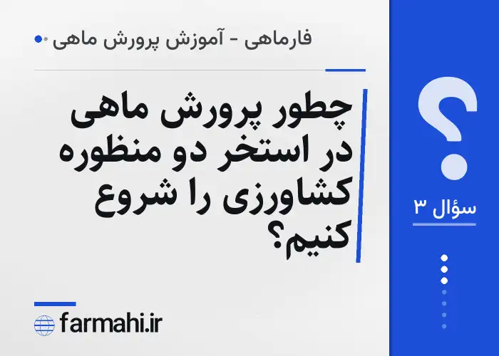 چطور پرورش ماهی در استخر دو منظوره کشاورزی را شروع کنیم؟