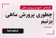 چطوری پرورش ماهی بزنیم
