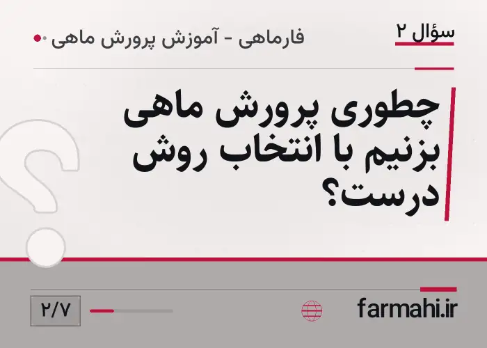 چطوری پرورش ماهی بزنیم با انتخاب روش درست؟