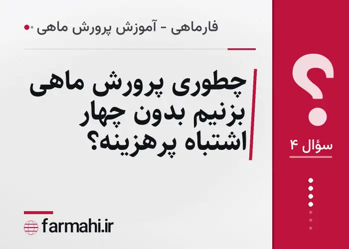 چطوری پرورش ماهی بزنیم بدون چهار اشتباه پرهزینه؟