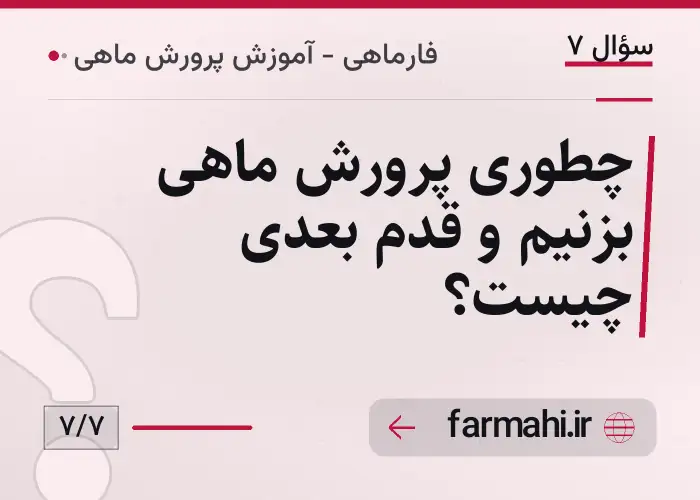 چطوری پرورش ماهی بزنیم و قدم بعدی چیست؟