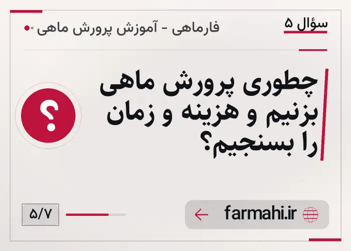 چطوری پرورش ماهی بزنیم و هزینه و زمان را بسنجیم؟
