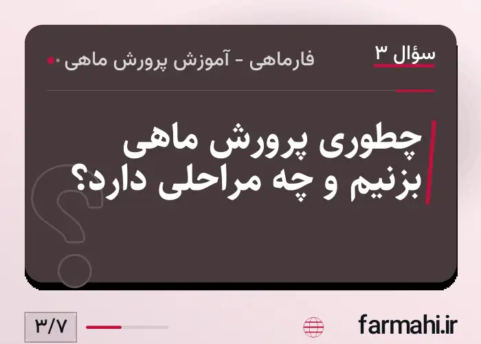 چطوری پرورش ماهی بزنیم و چه مراحلی دارد؟