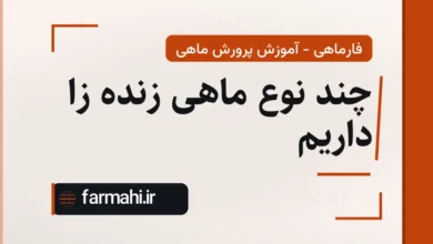 چند نوع ماهی زنده زا داریم