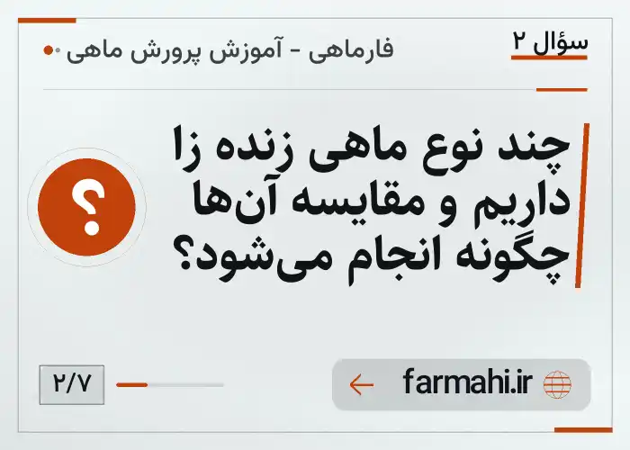 چند نوع ماهی زنده زا داریم و مقایسه آن‌ها چگونه انجام می‌شود؟