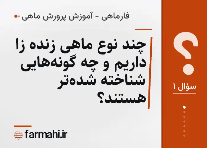چند نوع ماهی زنده زا داریم و چه گونه‌هایی شناخته شده‌تر هستند؟