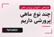 چند نوع ماهی پرورشی داریم