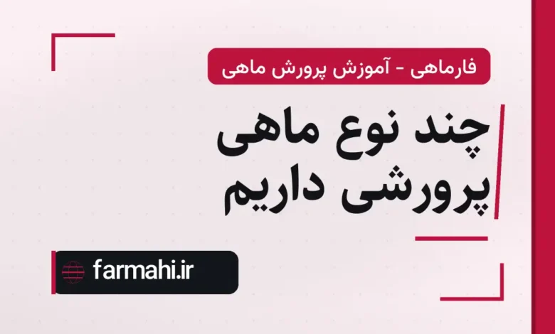 چند نوع ماهی پرورشی داریم