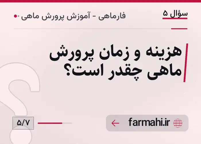 هزینه و زمان پرورش ماهی چقدر است؟