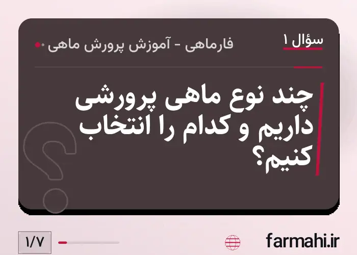 چند نوع ماهی پرورشی داریم و کدام را انتخاب کنیم؟
