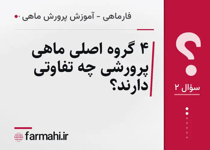 ۴ گروه اصلی ماهی پرورشی چه تفاوتی دارند؟