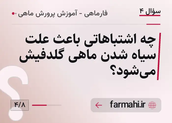 چه اشتباهاتی باعث علت سیاه شدن ماهی گلدفیش می‌شود؟