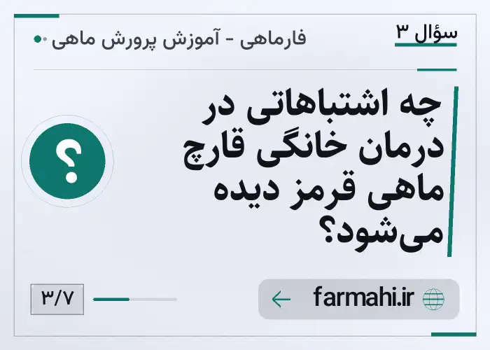 چه اشتباهاتی در درمان خانگی قارچ ماهی قرمز دیده می‌شود؟